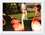 At_the _zoo (39) * 2048 x 1536 * (1.48MB)